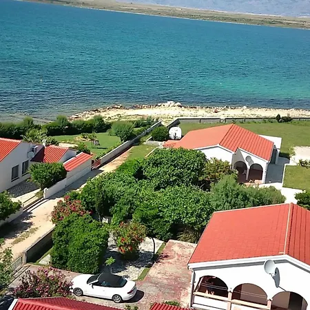 Viric Ds