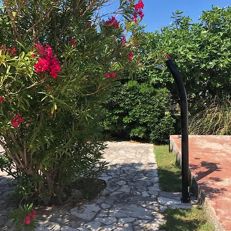Viric Ds Tatil Evi
