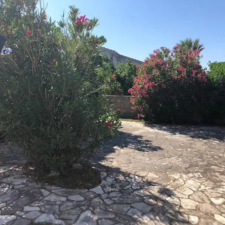 Viric Ds Holiday home