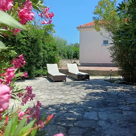 Viric Ds Tatil Evi *